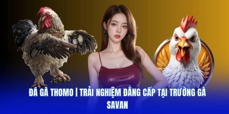 Đá gà Savan Những ưu điểm khi tham gia Đá gà Savan tại Rikvip